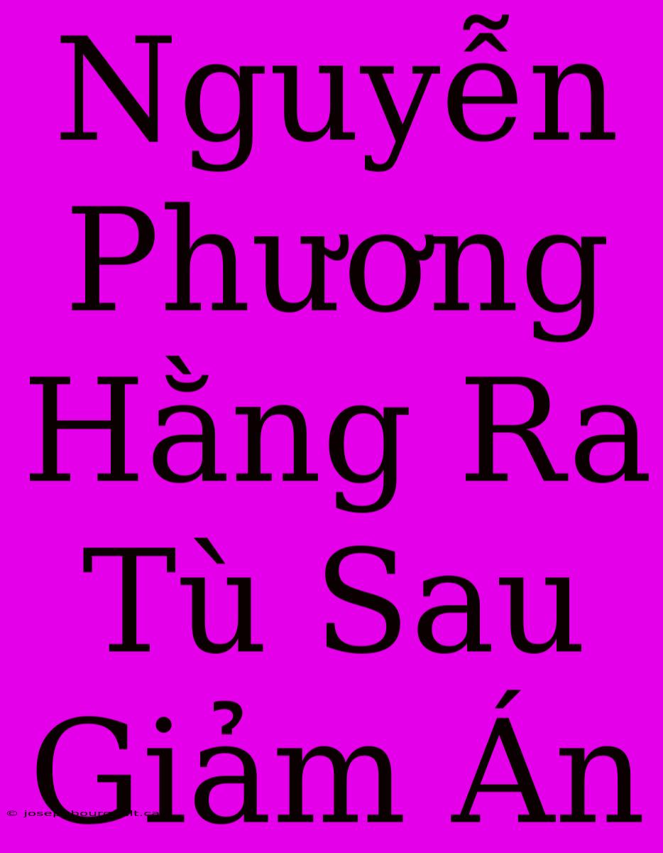 Nguyễn Phương Hằng Ra Tù Sau Giảm Án