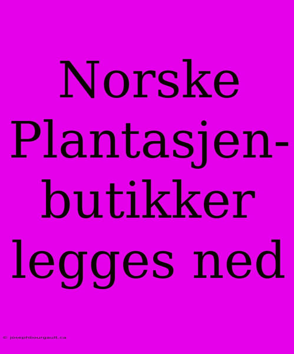 Norske Plantasjen-butikker Legges Ned