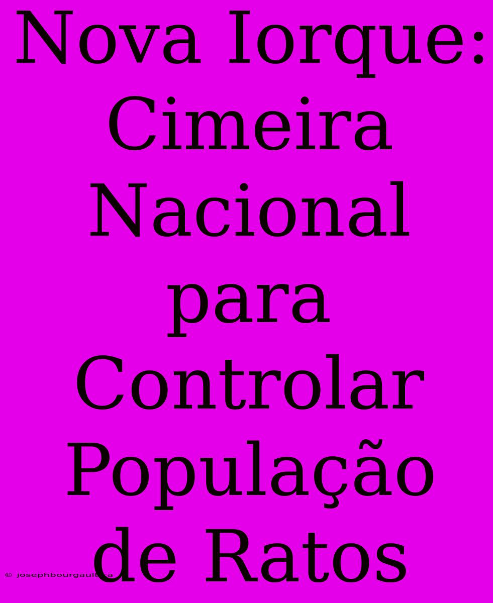 Nova Iorque: Cimeira Nacional Para Controlar População De Ratos