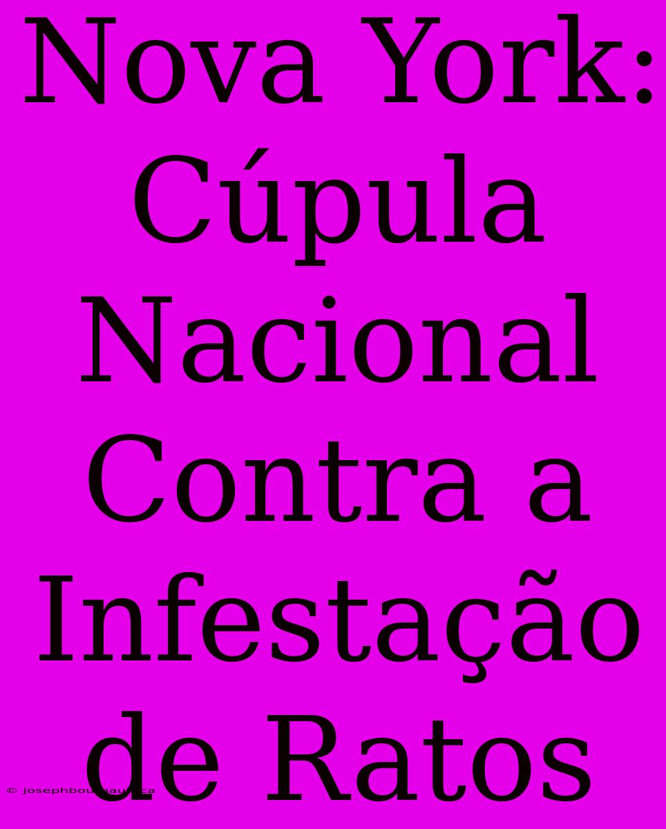 Nova York: Cúpula Nacional Contra A Infestação De Ratos