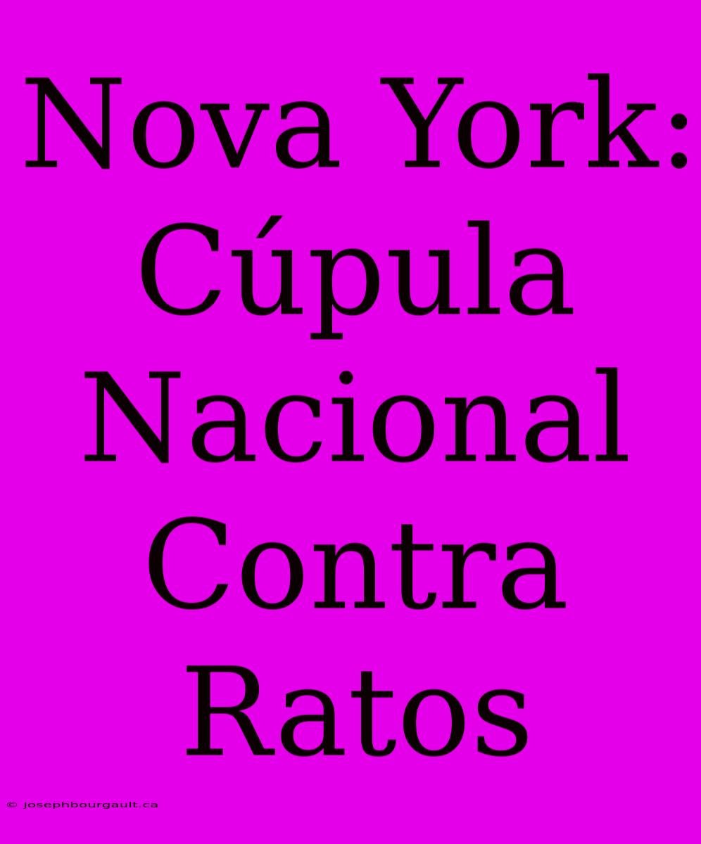 Nova York: Cúpula Nacional Contra Ratos