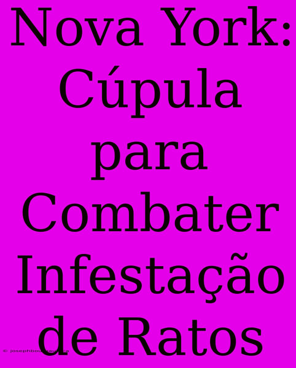 Nova York: Cúpula Para Combater Infestação De Ratos