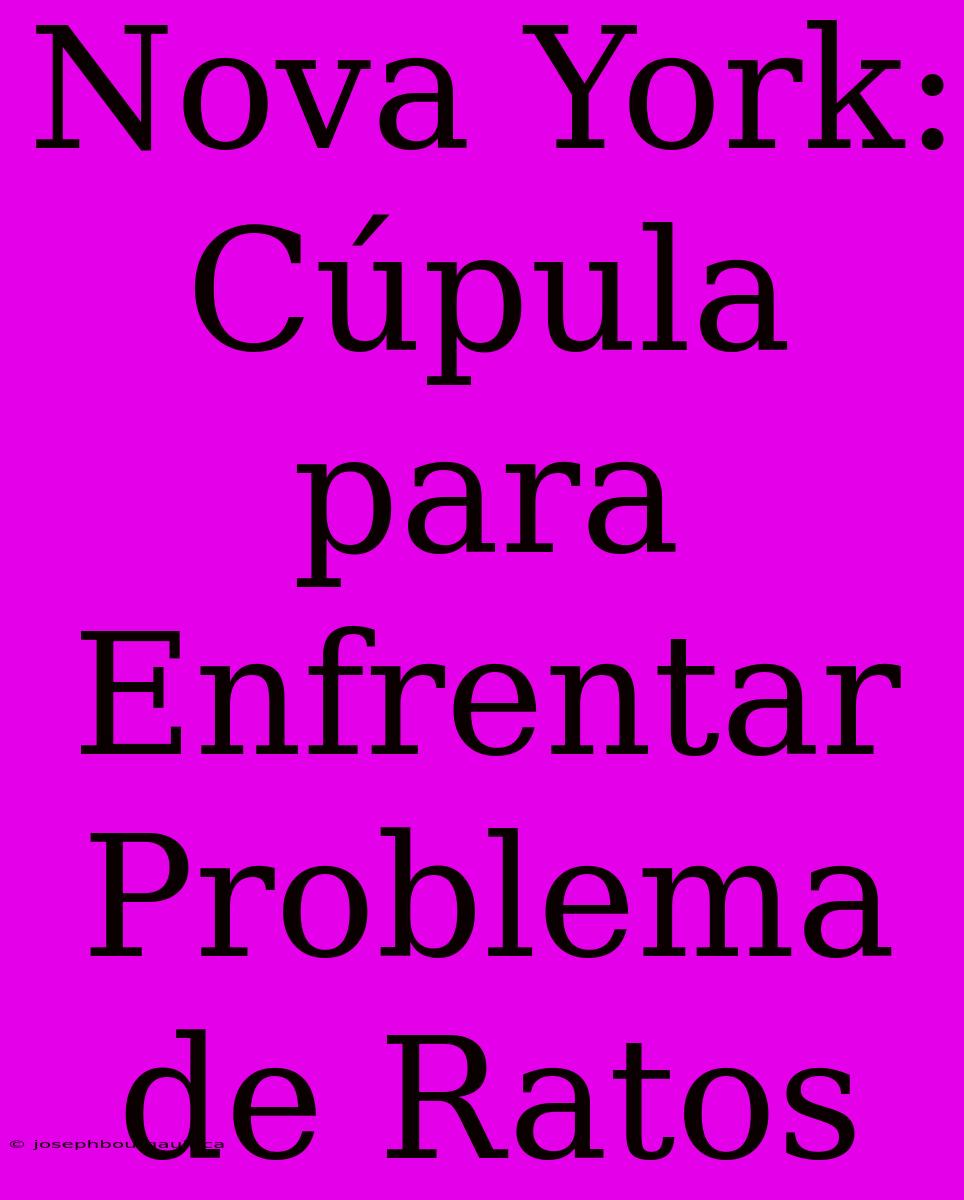 Nova York: Cúpula Para Enfrentar Problema De Ratos