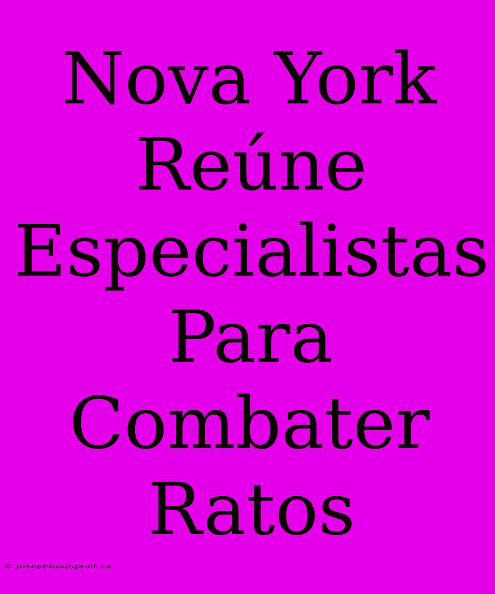 Nova York Reúne Especialistas Para Combater Ratos