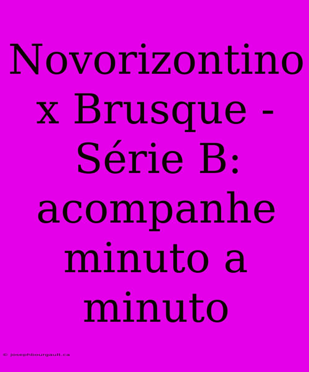 Novorizontino X Brusque - Série B: Acompanhe Minuto A Minuto