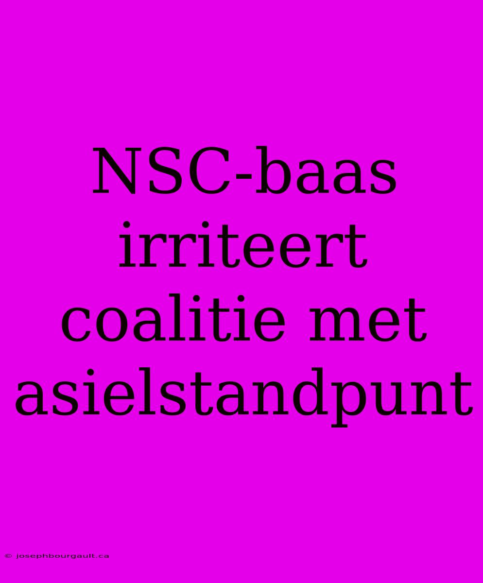 NSC-baas Irriteert Coalitie Met Asielstandpunt