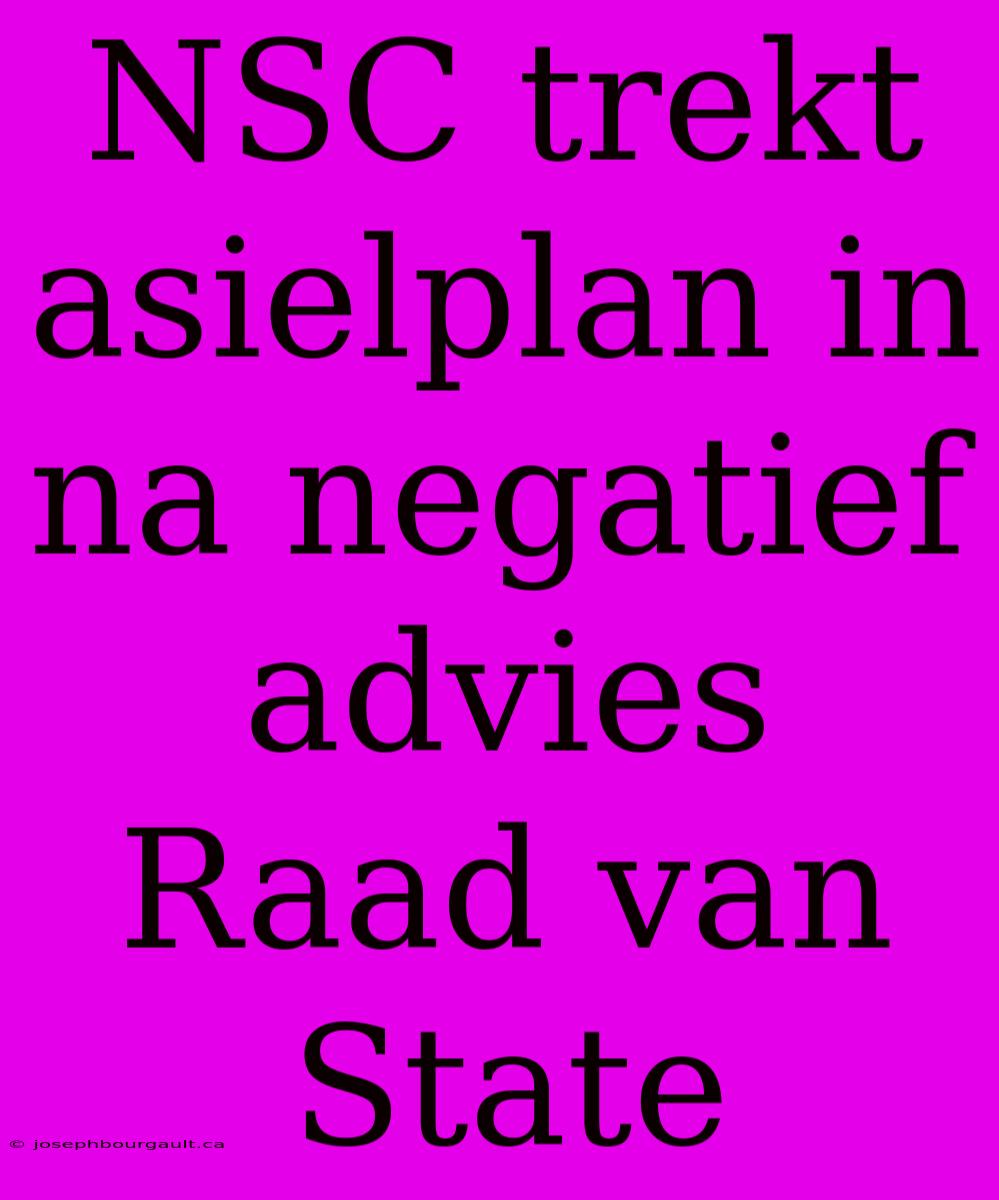 NSC Trekt Asielplan In Na Negatief Advies Raad Van State