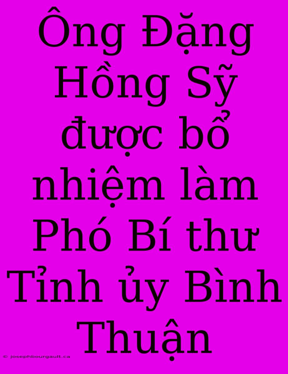 Ông Đặng Hồng Sỹ Được Bổ Nhiệm Làm Phó Bí Thư Tỉnh Ủy Bình Thuận