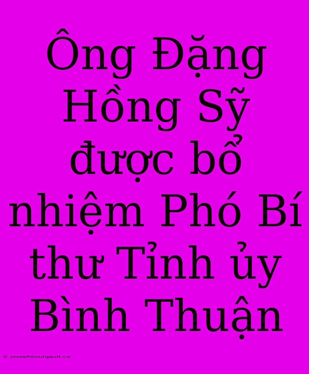 Ông Đặng Hồng Sỹ Được Bổ Nhiệm Phó Bí Thư Tỉnh Ủy Bình Thuận