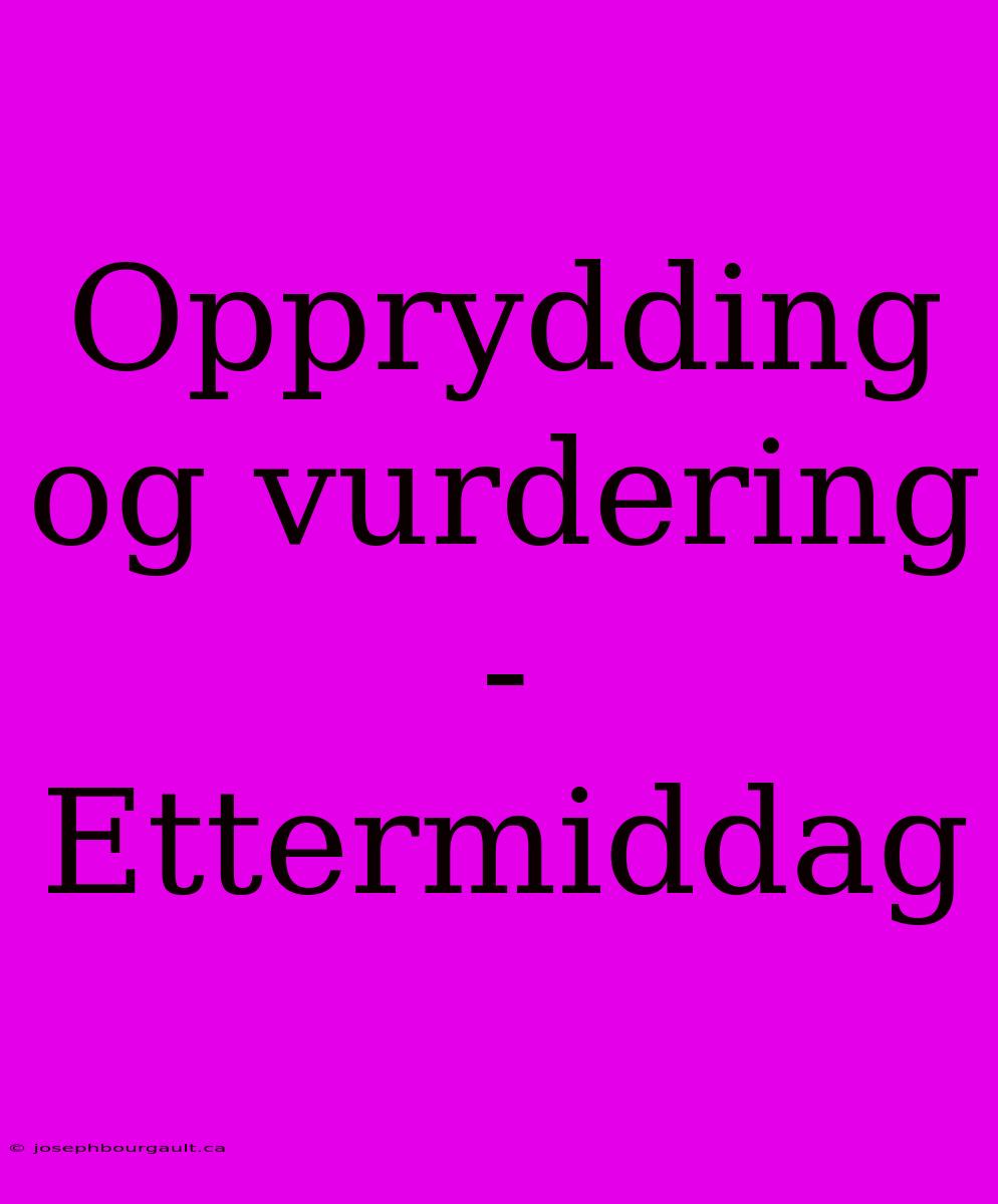 Opprydding Og Vurdering - Ettermiddag