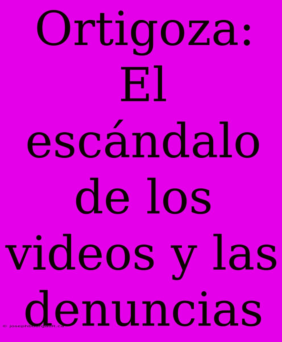 Ortigoza: El Escándalo De Los Videos Y Las Denuncias