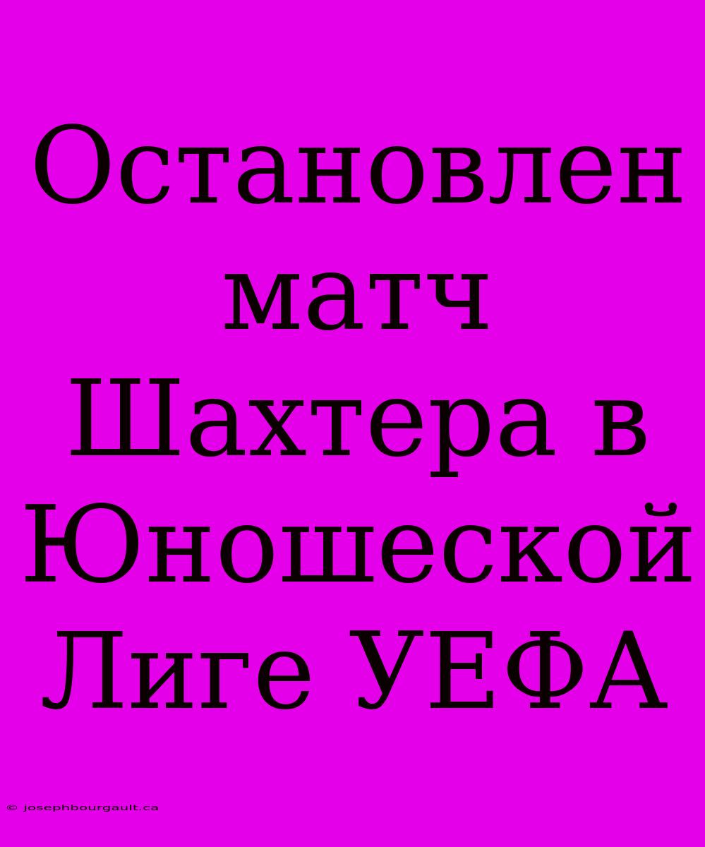 Остановлен Матч Шахтера В Юношеской Лиге УЕФА