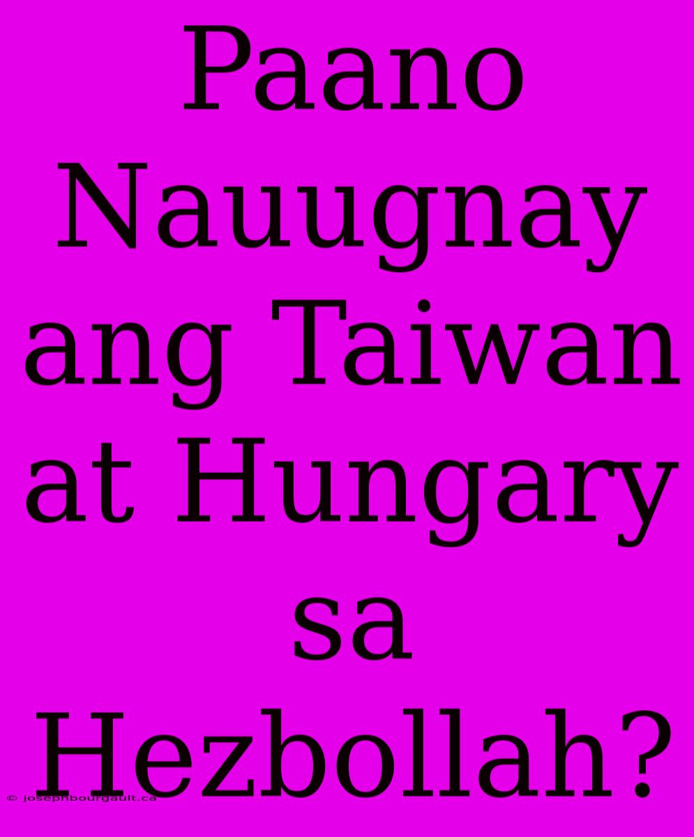 Paano Nauugnay Ang Taiwan At Hungary Sa Hezbollah?