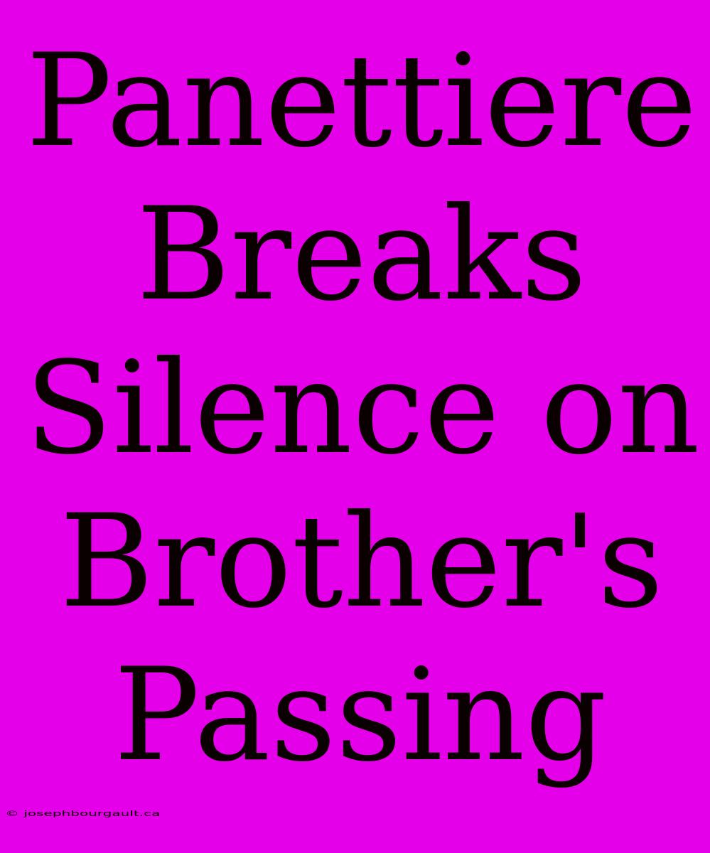 Panettiere Breaks Silence On Brother's Passing