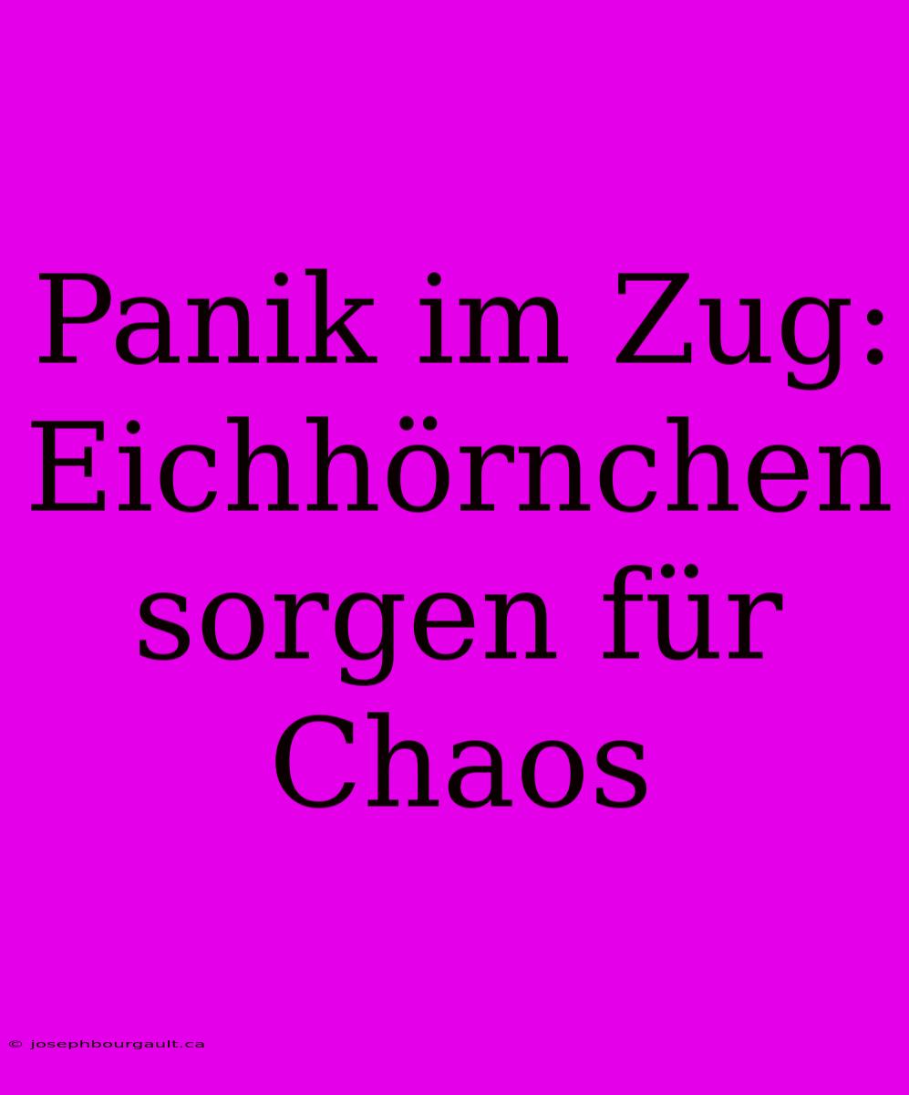 Panik Im Zug: Eichhörnchen Sorgen Für Chaos