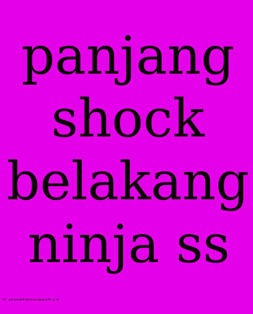 Panjang Shock Belakang Ninja Ss