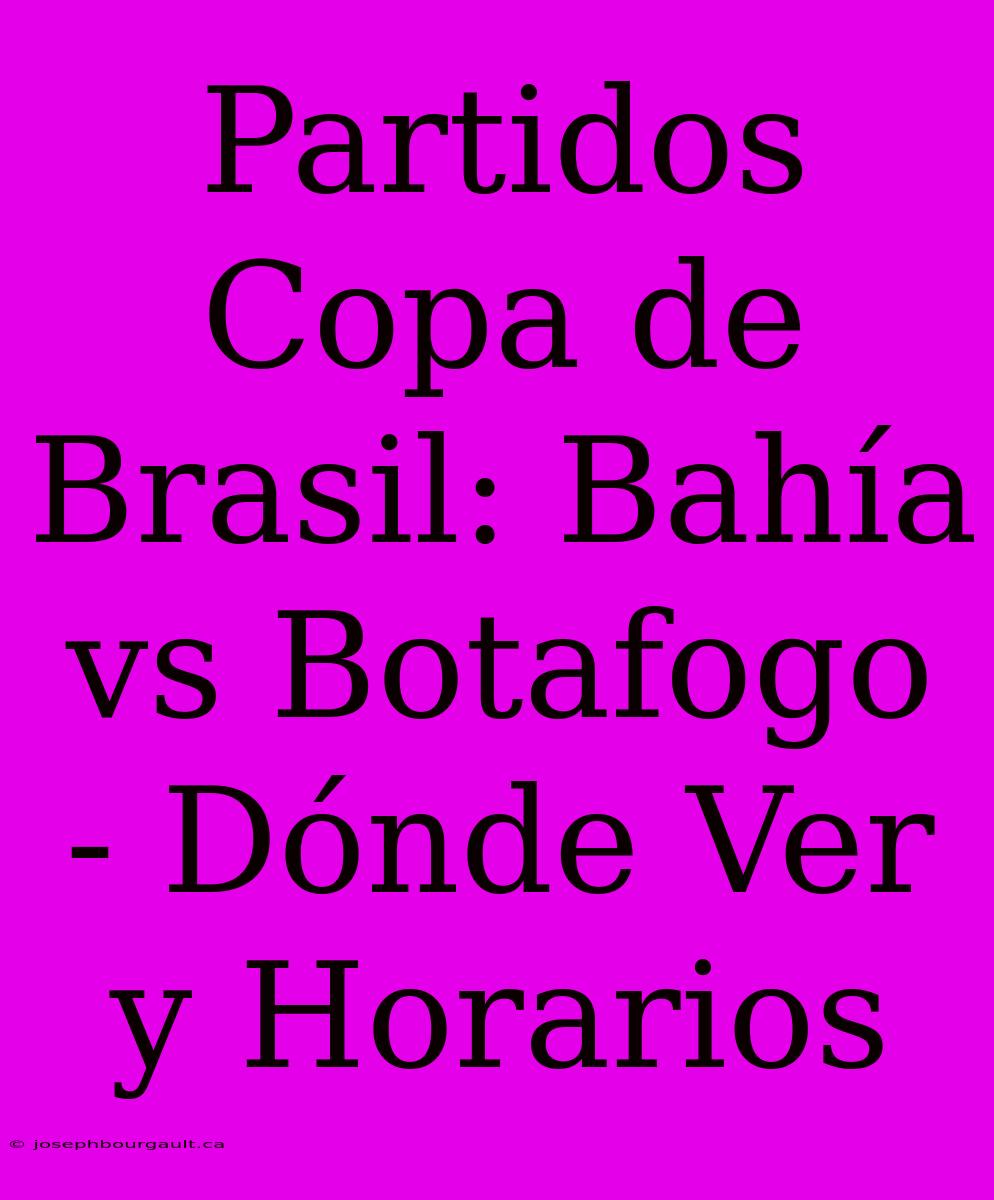 Partidos Copa De Brasil: Bahía Vs Botafogo - Dónde Ver Y Horarios