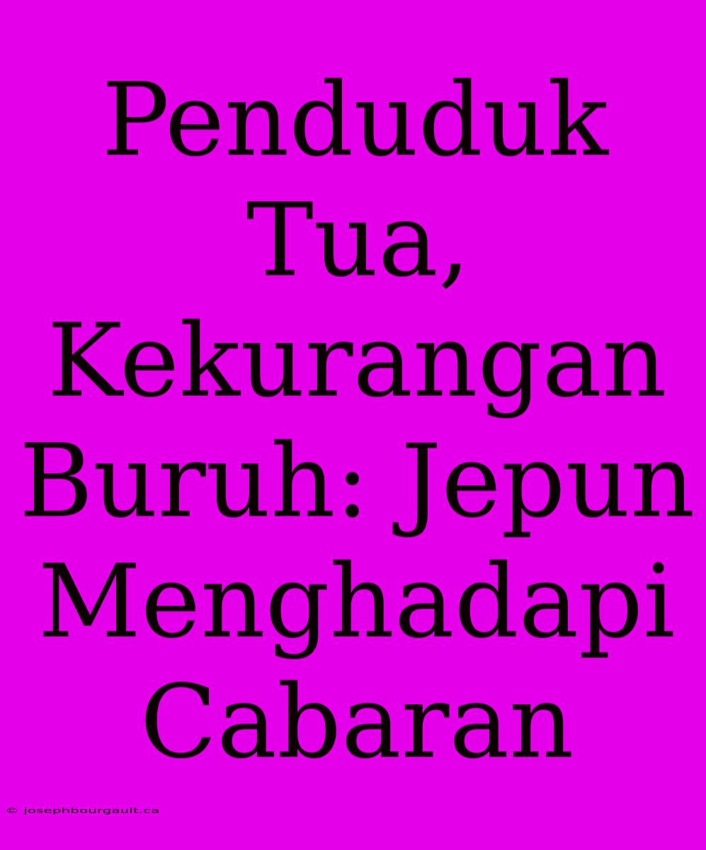 Penduduk Tua, Kekurangan Buruh: Jepun Menghadapi Cabaran