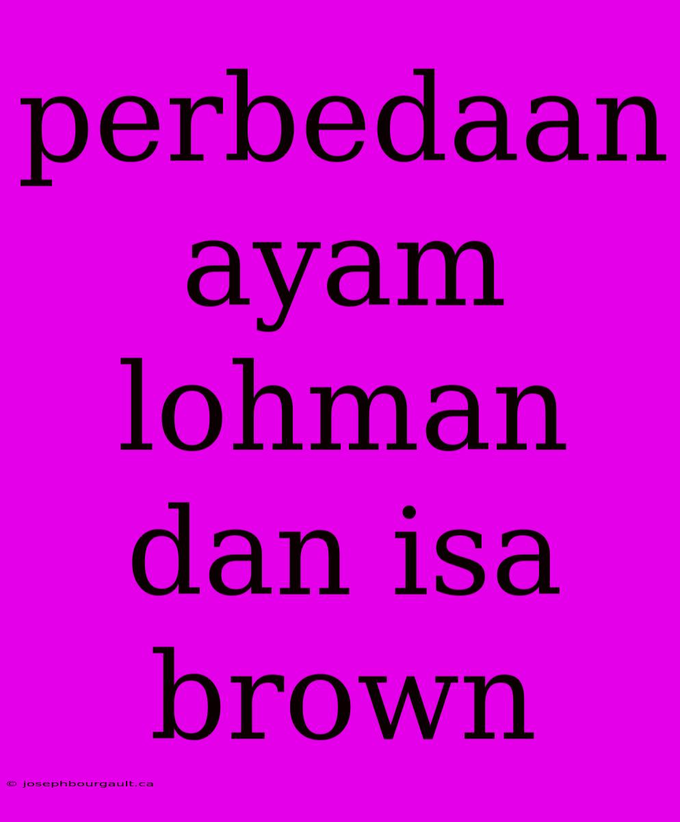 Perbedaan Ayam Lohman Dan Isa Brown