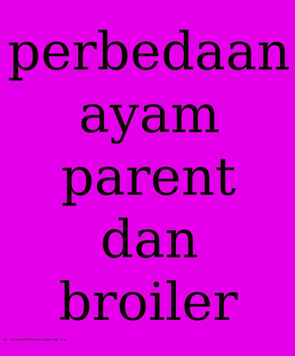 Perbedaan Ayam Parent Dan Broiler