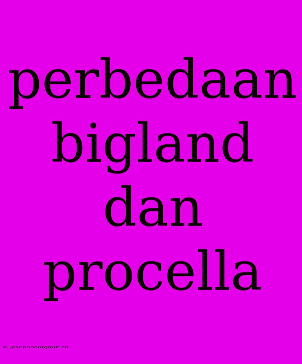 Perbedaan Bigland Dan Procella