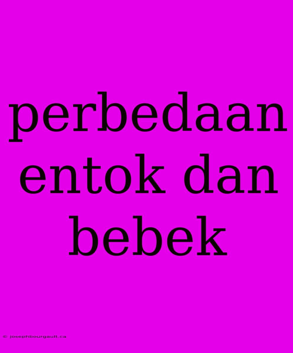 Perbedaan Entok Dan Bebek