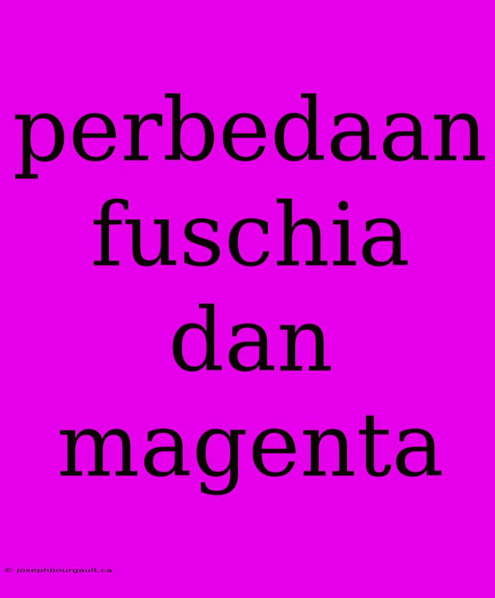 Perbedaan Fuschia Dan Magenta