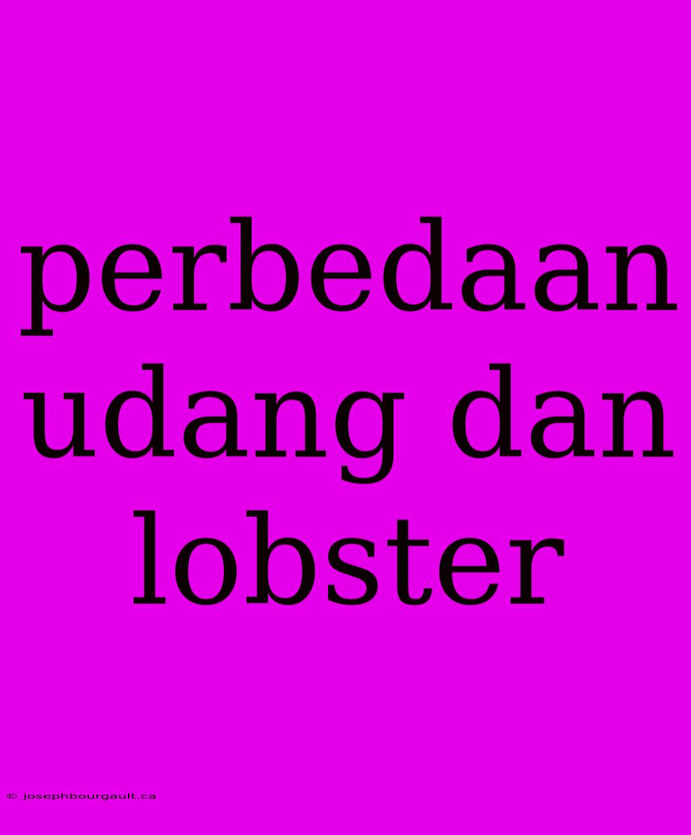 Perbedaan Udang Dan Lobster