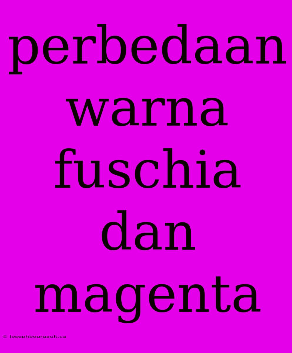 Perbedaan Warna Fuschia Dan Magenta