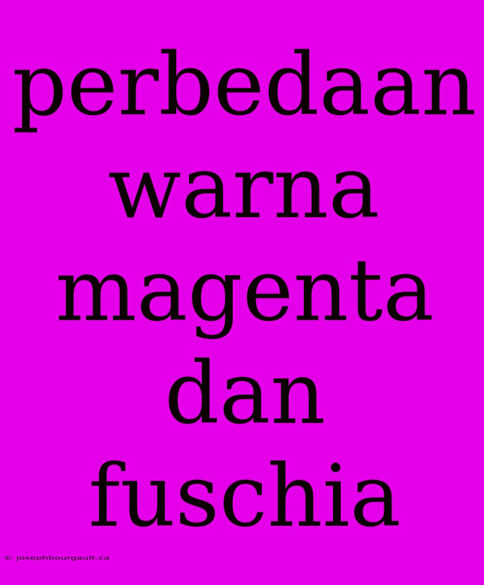 Perbedaan Warna Magenta Dan Fuschia