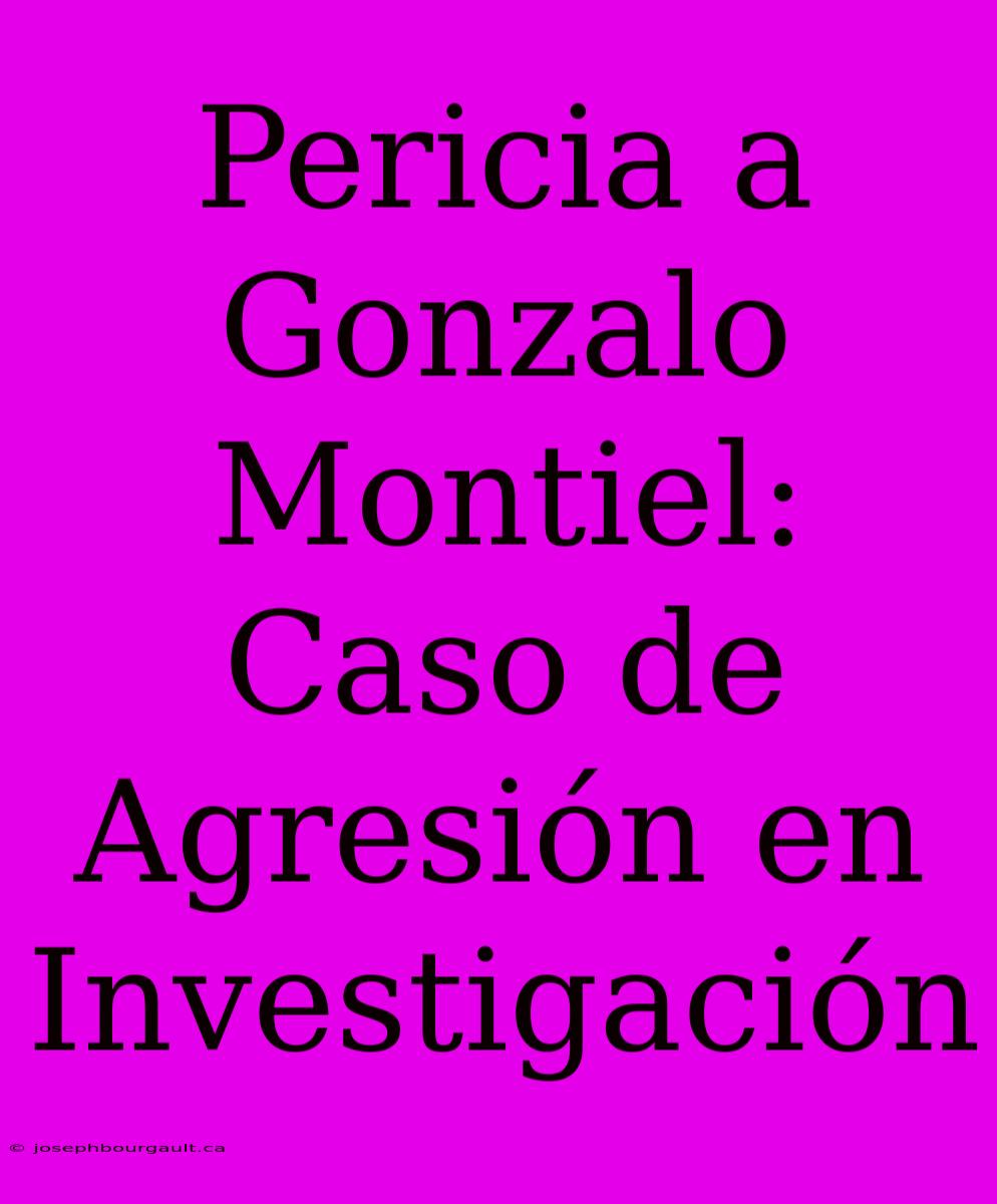 Pericia A Gonzalo Montiel: Caso De Agresión En Investigación