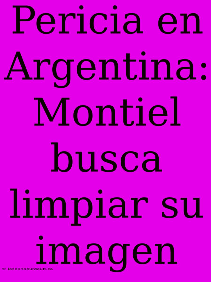 Pericia En Argentina: Montiel Busca Limpiar Su Imagen