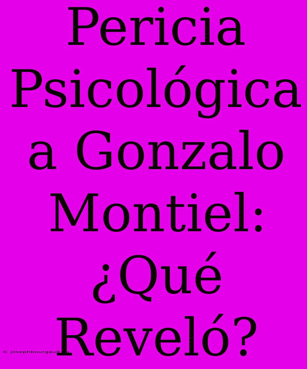 Pericia Psicológica A Gonzalo Montiel: ¿Qué Reveló?