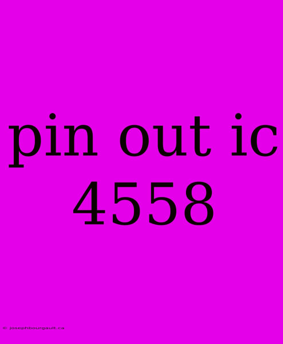 Pin Out Ic 4558