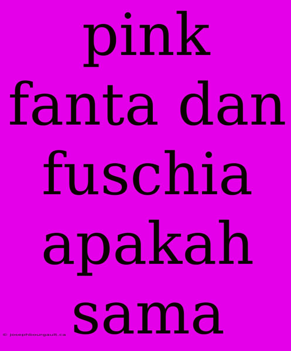 Pink Fanta Dan Fuschia Apakah Sama