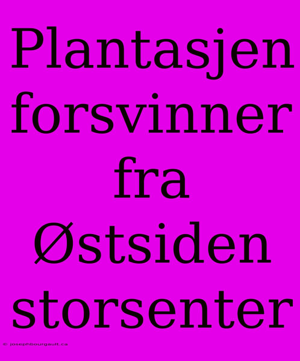 Plantasjen Forsvinner Fra Østsiden Storsenter