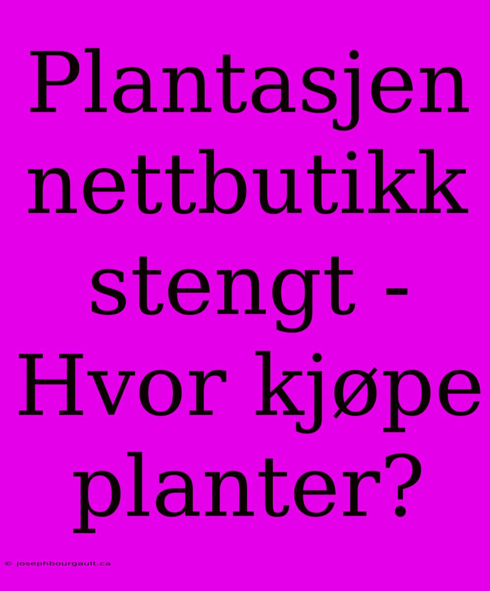 Plantasjen Nettbutikk Stengt - Hvor Kjøpe Planter?