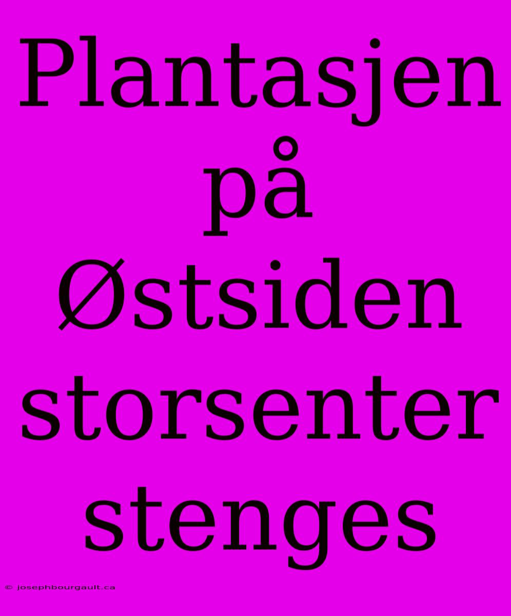 Plantasjen På Østsiden Storsenter Stenges