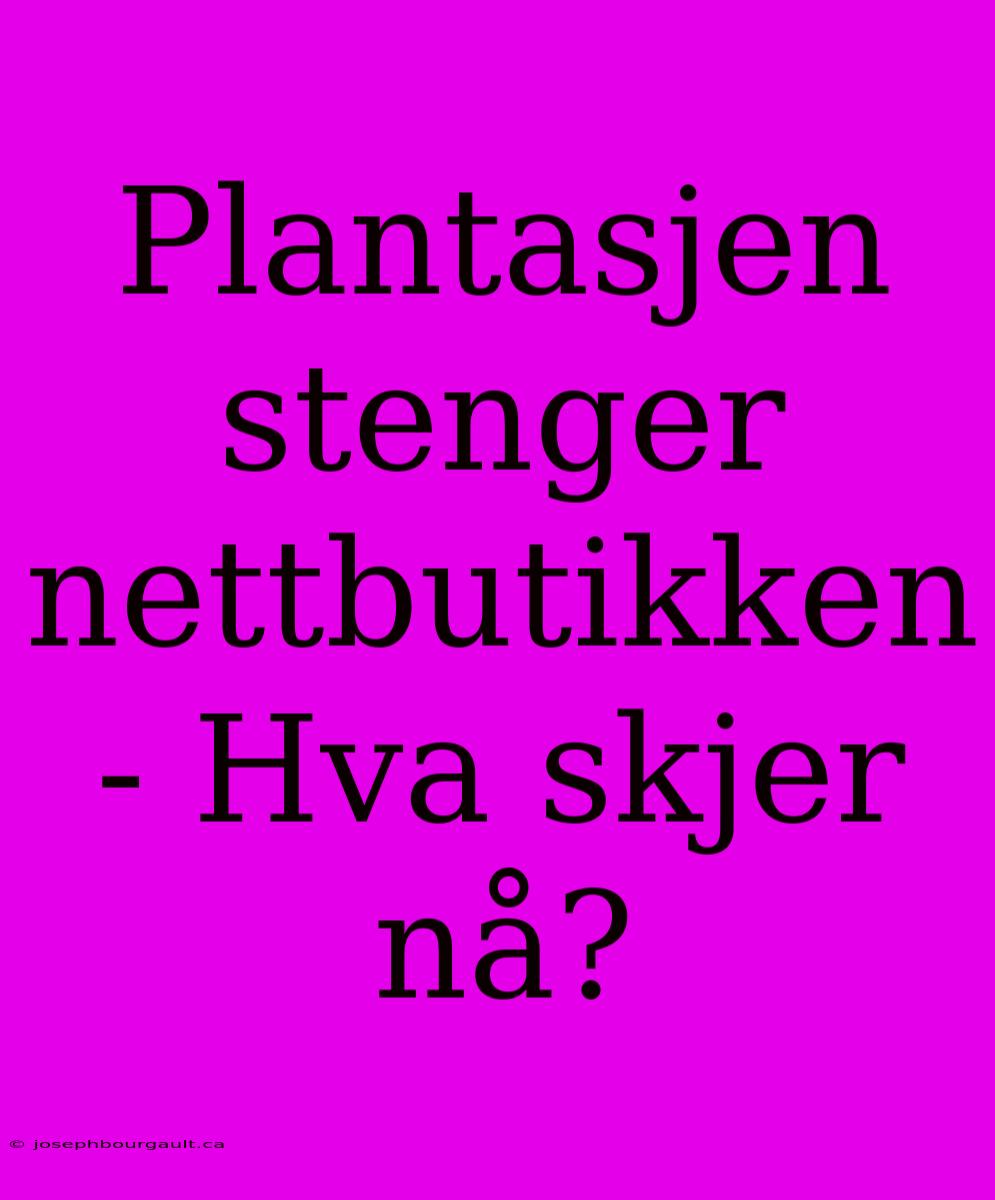 Plantasjen Stenger Nettbutikken - Hva Skjer Nå?