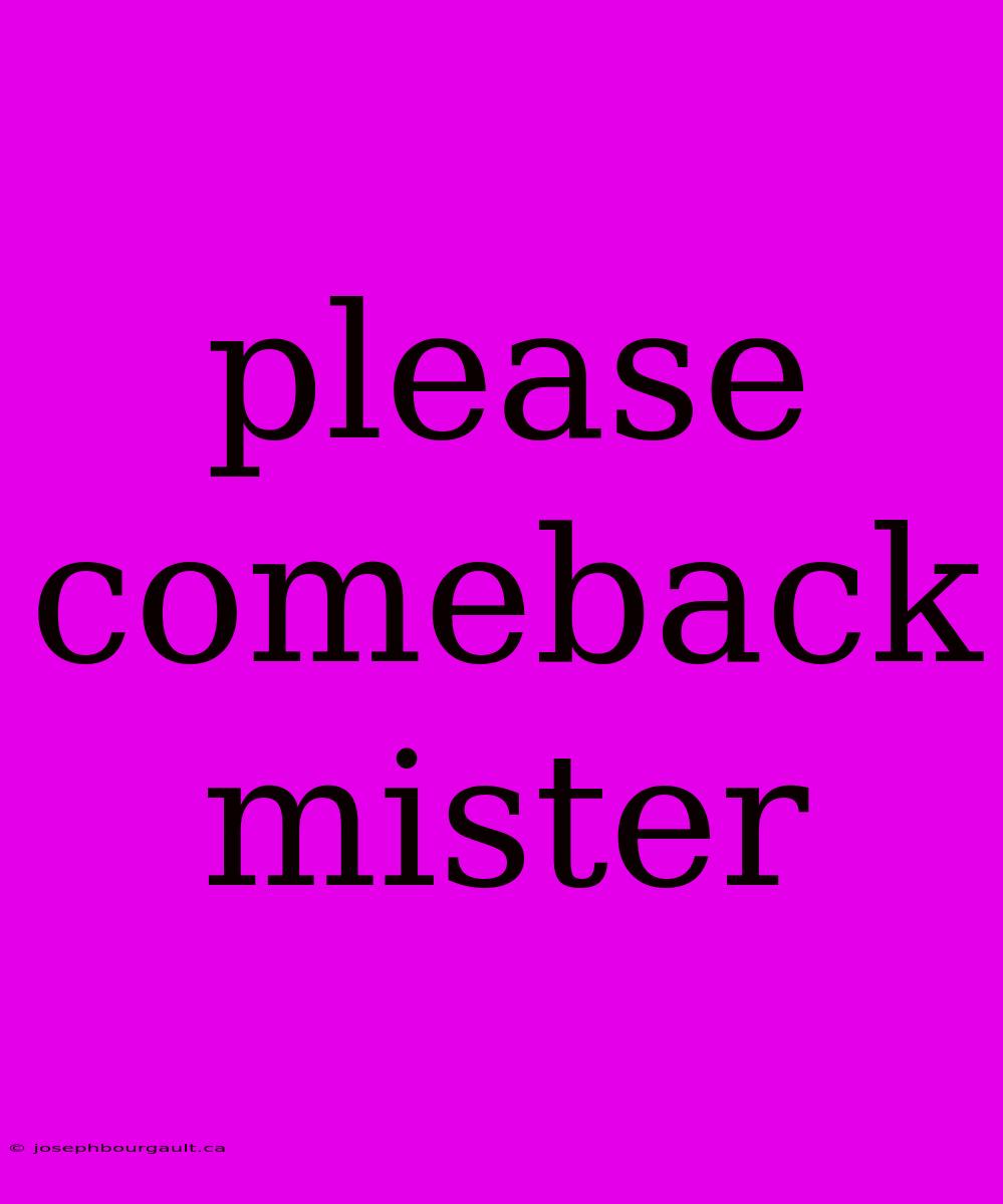 Please Comeback Mister