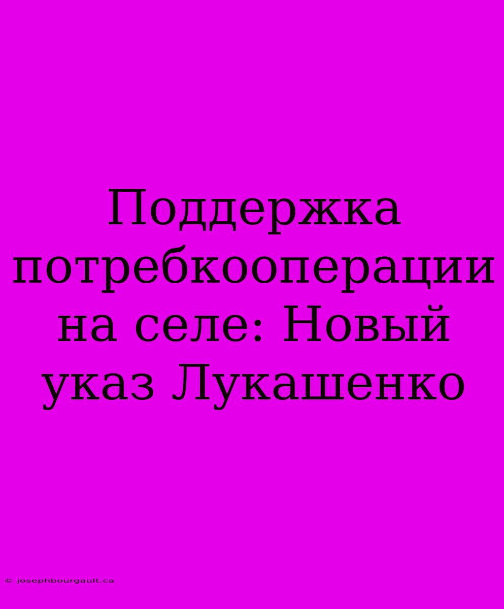 Поддержка Потребкооперации На Селе: Новый Указ Лукашенко