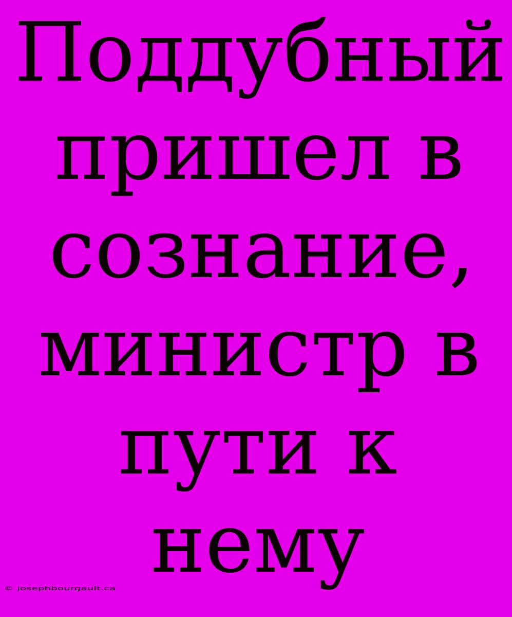 Поддубный Пришел В Сознание, Министр В Пути К Нему