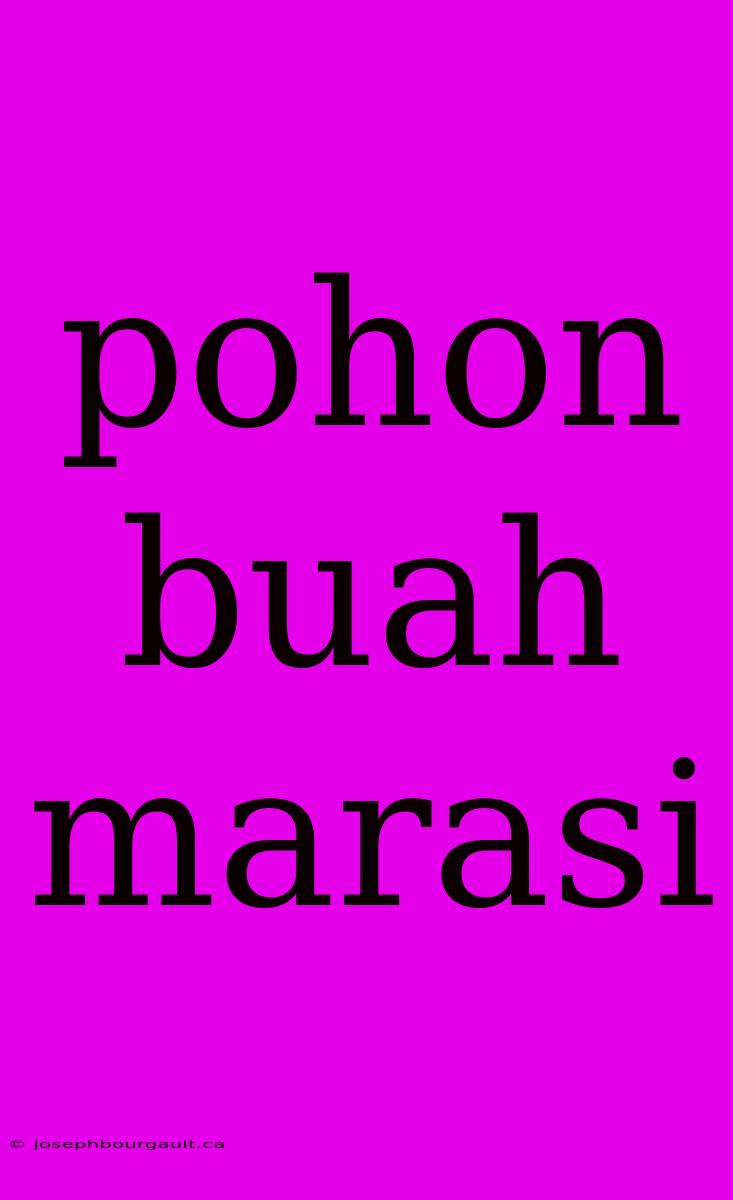 Pohon Buah Marasi