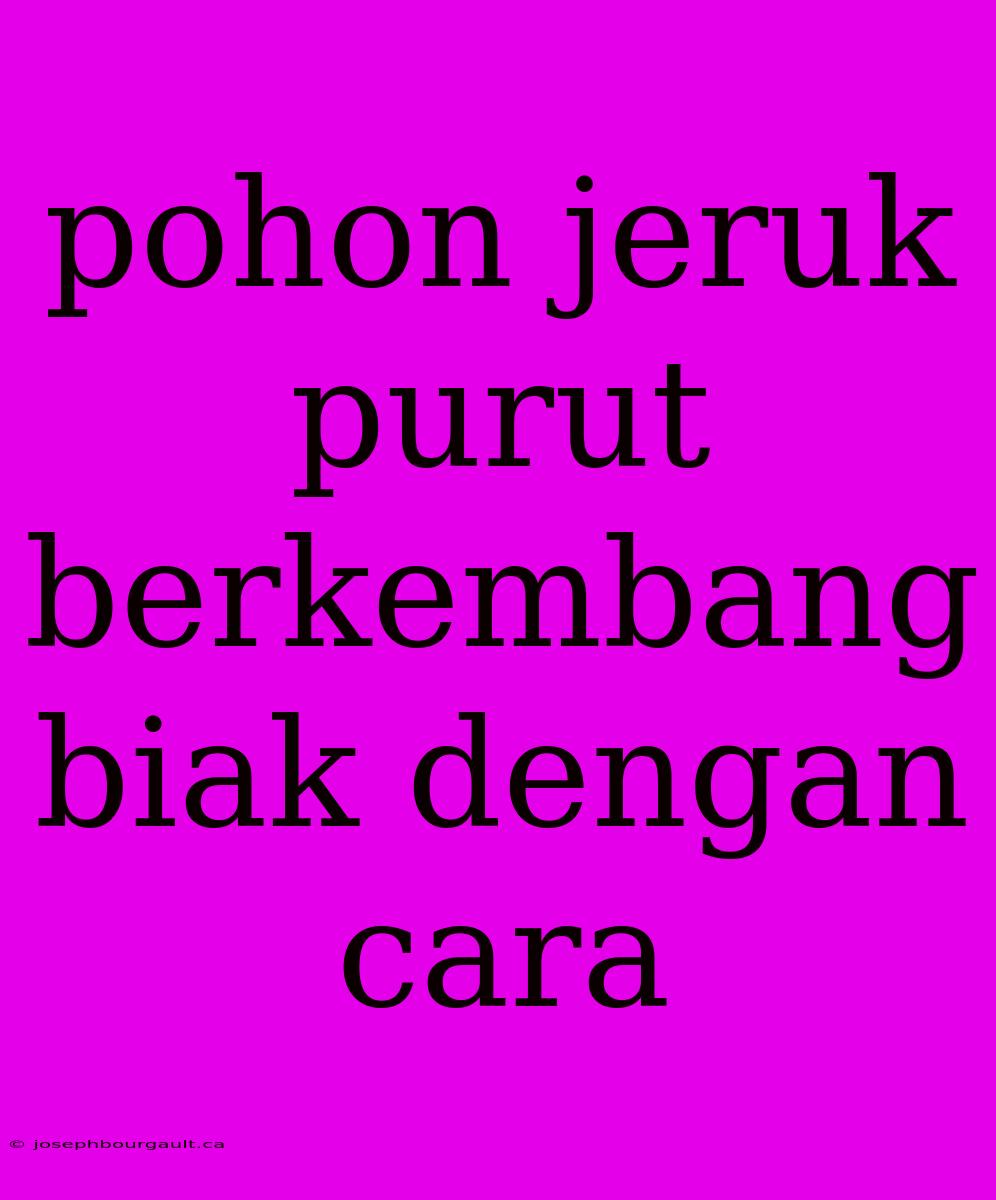 Pohon Jeruk Purut Berkembang Biak Dengan Cara