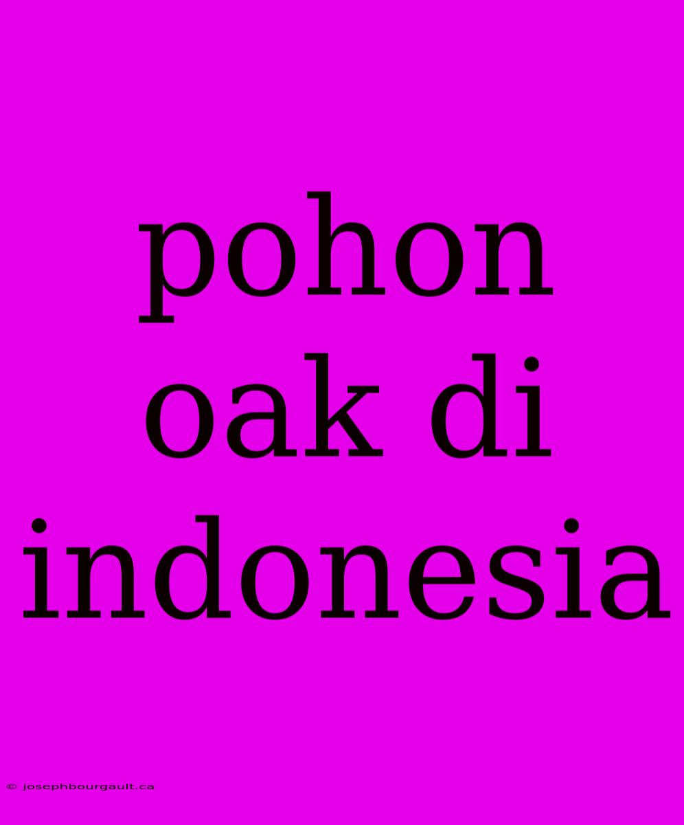 Pohon Oak Di Indonesia