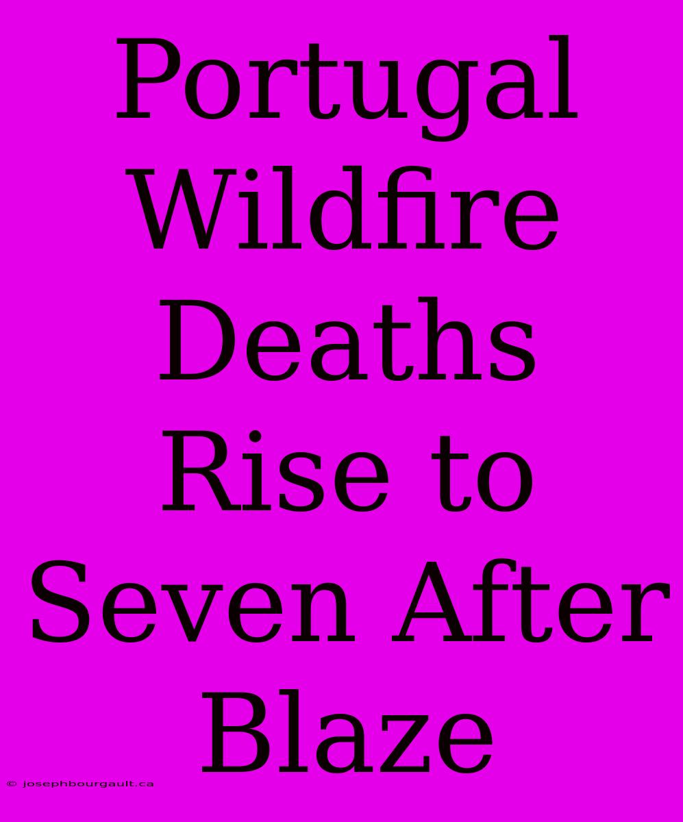 Portugal Wildfire Deaths Rise To Seven After Blaze