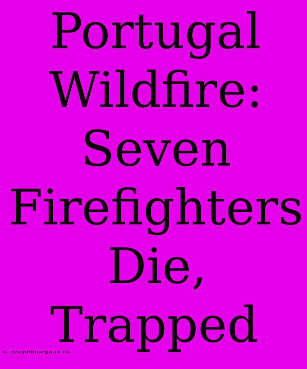 Portugal Wildfire: Seven Firefighters Die, Trapped