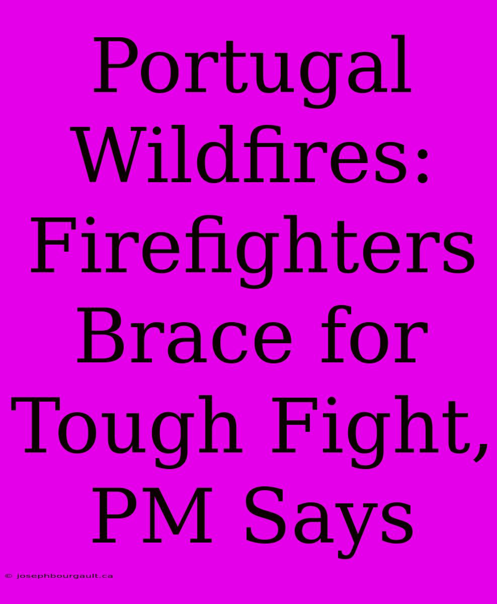 Portugal Wildfires: Firefighters Brace For Tough Fight, PM Says