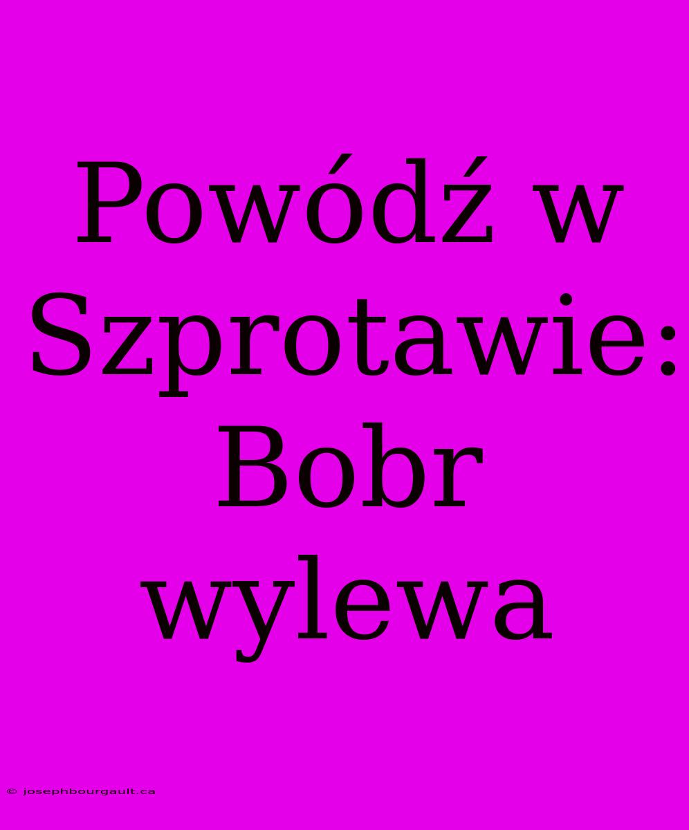 Powódź W Szprotawie: Bobr Wylewa