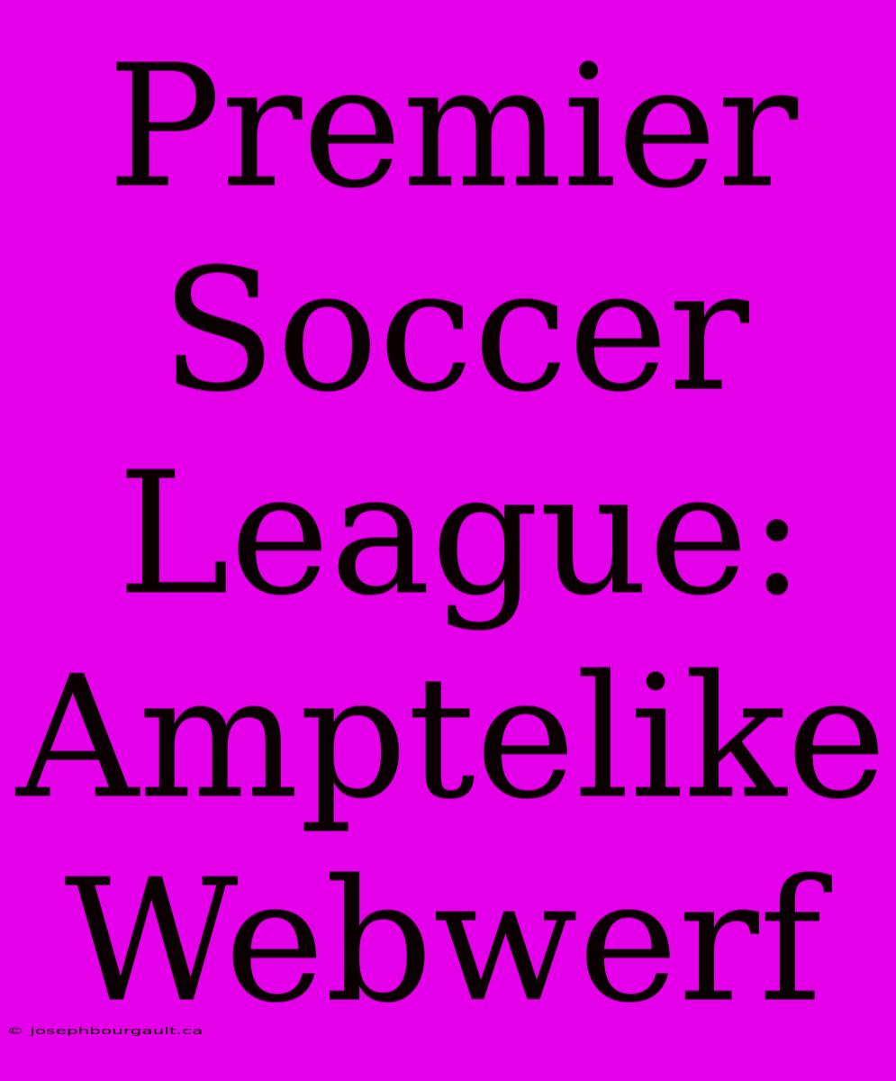 Premier Soccer League: Amptelike Webwerf